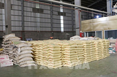 Vietnamese rice remains steadfast amid world market fluctuations