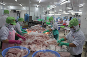 Turning seafood by-products into billion-dollar industry