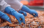 Exporting more than 8.3 billion USD, seafood still faces many barriers
