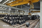 Two Vietnamese products subject to India’s anti-dumping investigation