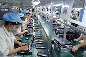 Viet Nam-Singapore trade continues upward momentum