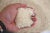 Viet Nam continues to be in the world's top rice exporters