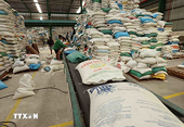 Viet Nam's exports maintain robust growth amid global challenges