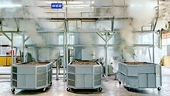 Cashews: Viet Nam's processors in trouble