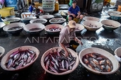 Indonesia Expands Seafood Exports to Vietnam with 35 New Processing Units