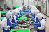 Vietnam's processed seafood industry, famous in the global market, aims for stronger presence in domestic market