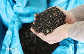 US officially exempts some key food items from reciprocal tariffs
