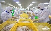 Vietnam’s shrimp exports near $4bn in January-October 1.00x female