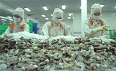 Viet Nam earns 1.1 billion USD from shrimp exports to China