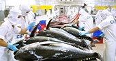 Opportunity for Vietnamese goods to penetrate deeper into the German market