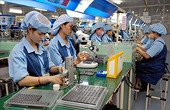Vietnamese lobster exports to China nearly triple