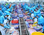 In 11 months, agricultural, forestry and fishery exports reached over 64 billion USD, surpassing the 2024 record