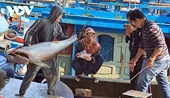 Viet Nam set to expand tuna market share in Netherlands through EVFTA