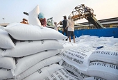 Viet Nam’s rice exports plummet amidst Philippines market changes