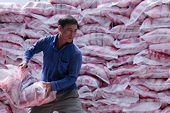 Trade poised for new record but sustainability concern persists: Conference