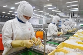 Viet Nam's record exports and the hidden fragility of its economy