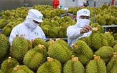 Agro-forestry-fishery exports poised to hit record high in 2025
