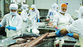 CPTPP opens new export space for Viet Nam