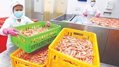 Viet Nam’s seafood exports gain momentum in Singapore