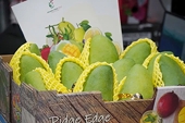 Fruit and vegetable exports reached a record high of nearly $8.6 billion