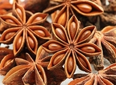 Vietnamese spices leverage US zero-tariff advantage
