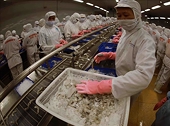 Viet Nam is building sustainable supply chains within a multipolar trade order
