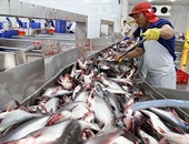 Standardizing AANZFTA rules of origin and ensuring consistent implementation