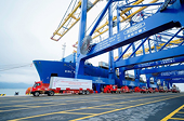 Internal strength crucial for building export resilience
