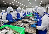 Seafood exports in the long term after a record $11.3 billion