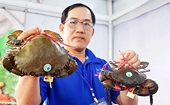 Exports of crabs and shellfish hit record high in 2025