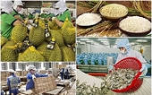 Exports of agricultural, forestry, and aquatic products aim to reach 100 billion USD