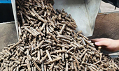 Viet Nam hits $1B milestone with humble wood pellets made from timber scraps