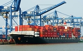 Record import and export turnover of 930 billion USD: Expanding scale, deepening quality