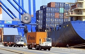 Trade opens 2026 with positive signals despite mixed outlook