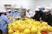 Businesses exporting agricultural products to Poland need to take note