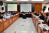 Viet Nam ranks third globally in cassava exports, supply chain faces challenges