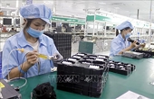 The cornerstone of the Viet Nam-EU Comprehensive Strategic Partnership