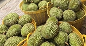Taiwan tightens inspection of durian imports from Viet Nam