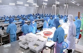 Seafood exports post 13% growth in early 2026