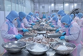 Exports of agricultural, forestry, and aquatic products increased by nearly 30% in January