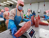 Enhancing the effectiveness of implementing next-generation FTAs