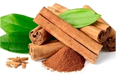 Cinnamon exports hit record high in 2025
