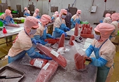 Seafood exports under pressure from US’s tightened rules