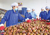 Viet Nam’s exports confront the $550 billion challenge