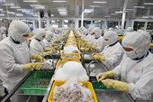 The US$930 billion miracle and its warning signs