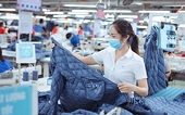 Special mechanisms to encourage state-owned enterprises to lead the economy