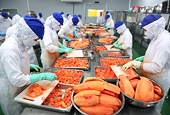 Fruit and vegetable sector sees 73% export growth in January