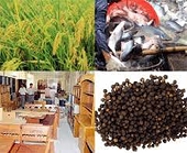 Viet Nam agriculture exports to Japan soar 18%