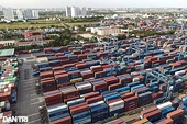 Viet Nam fruit exports soar as pistachios top chart