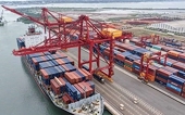 Viet Nam is among the economies with outstanding trade growth prospects